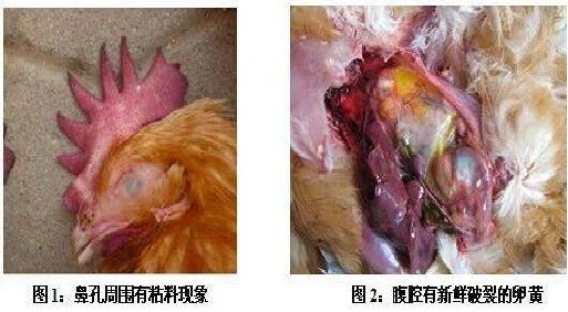 威廉希尔亚洲公司_中国官网