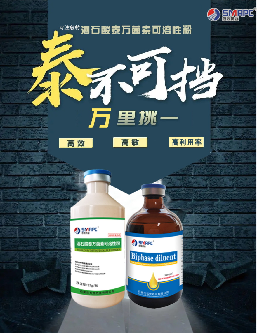 威廉希尔亚洲公司_中国官网