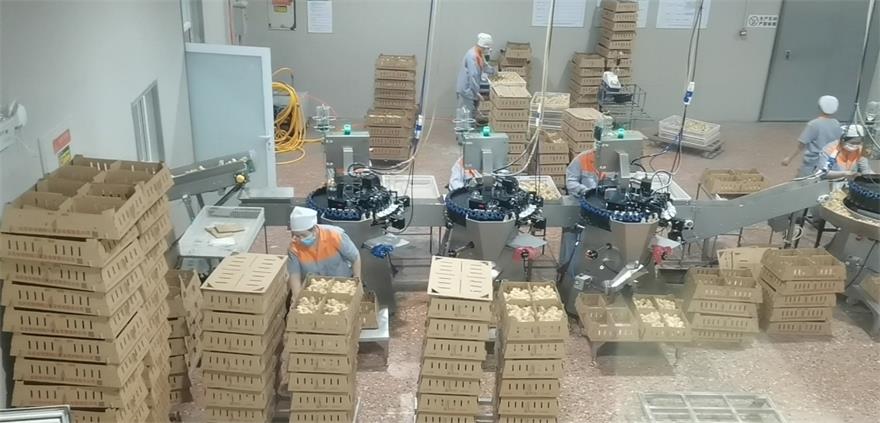 威廉希尔亚洲公司_中国官网